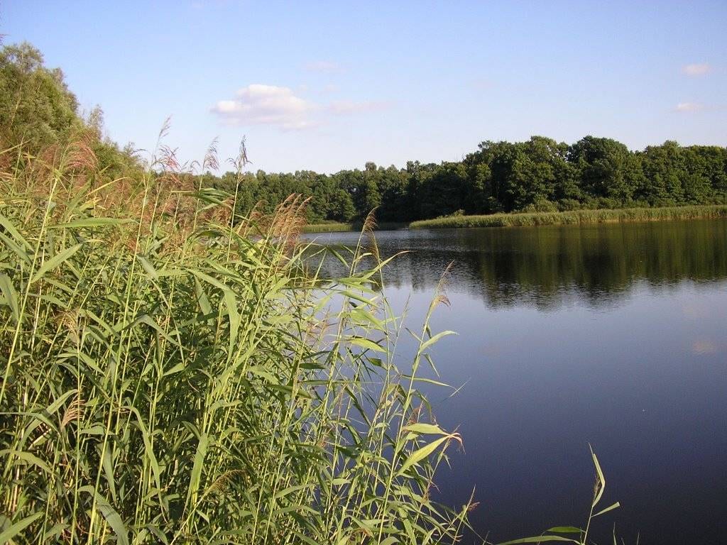 Jezioro Raduń gm. Choszczno