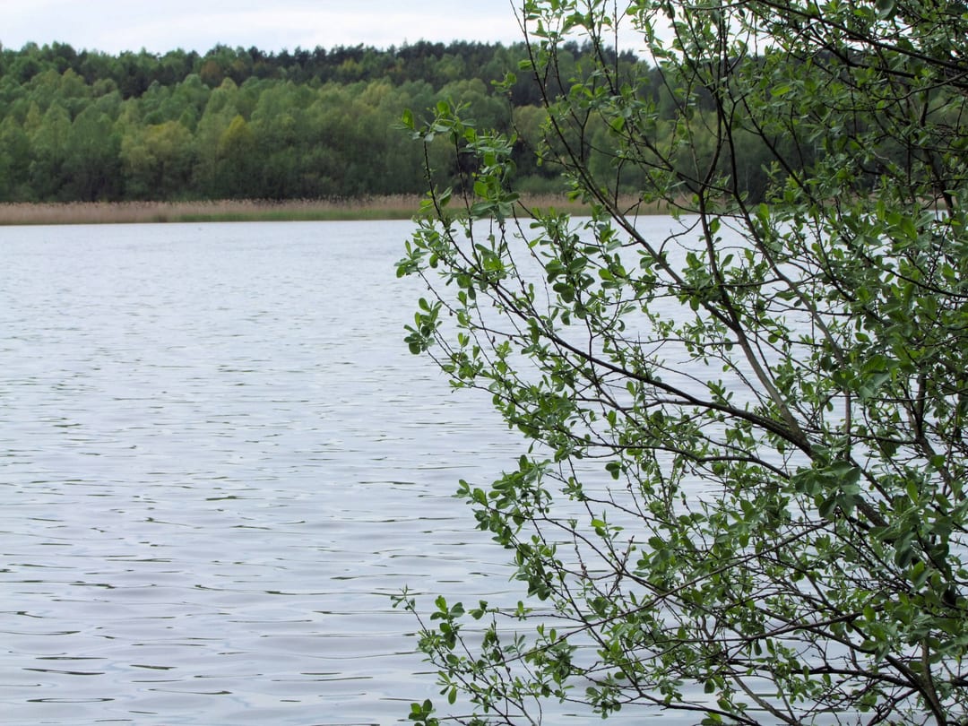 Jezioro Łabędzie
