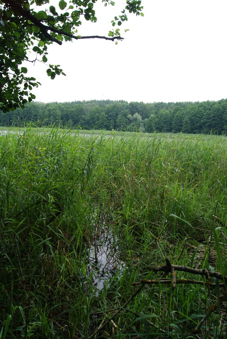 Jezioro Brzeźno