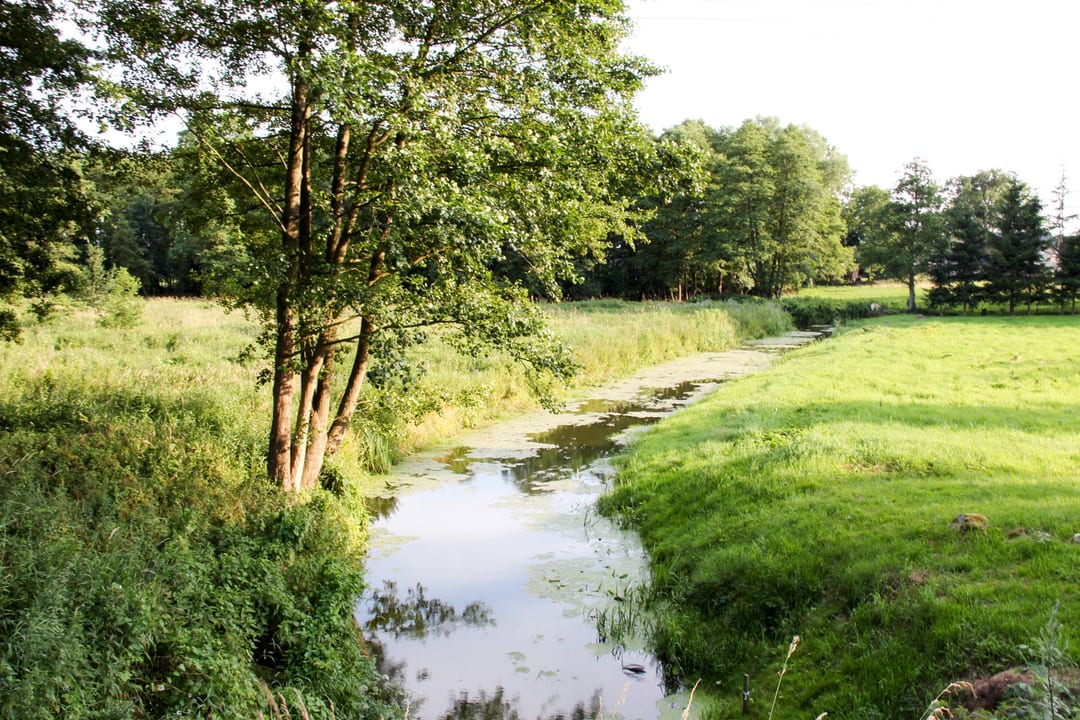 Świniec
