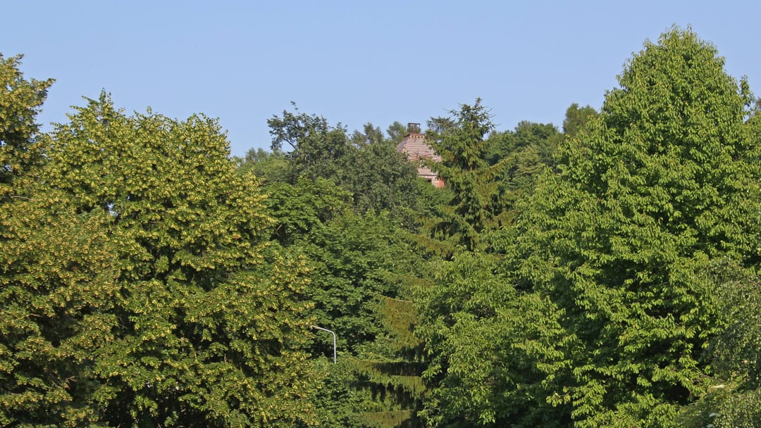 Wieża Bismarcka
