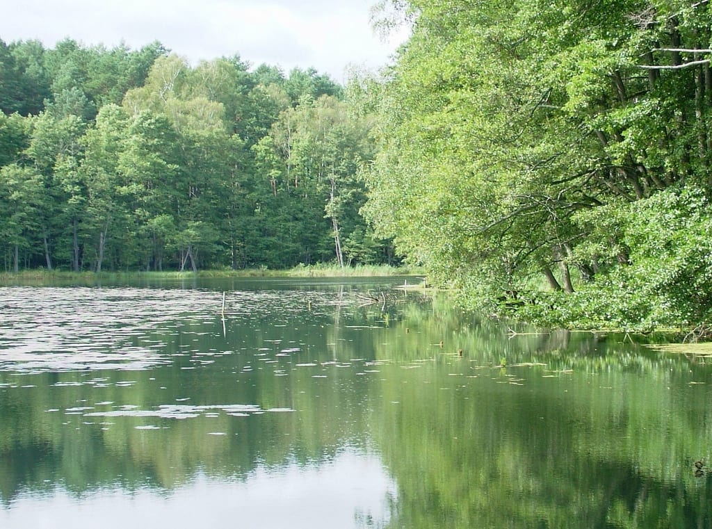 Jezioro Tuczno