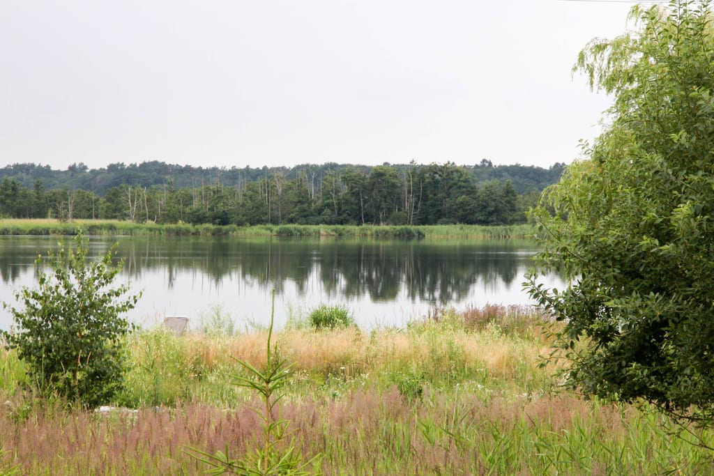 Jezioro Wicko Małe