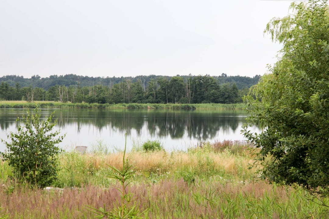 Jezioro Wicko Małe
