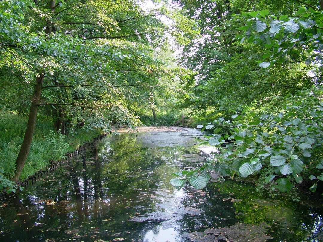 Korytnica