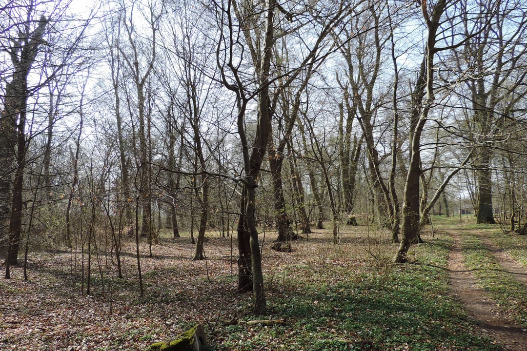 Park podworski