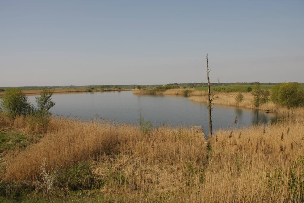 Jezioro Bielińskie