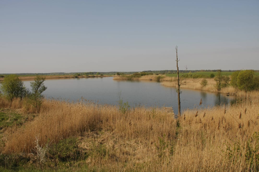 Jezioro Bielińskie