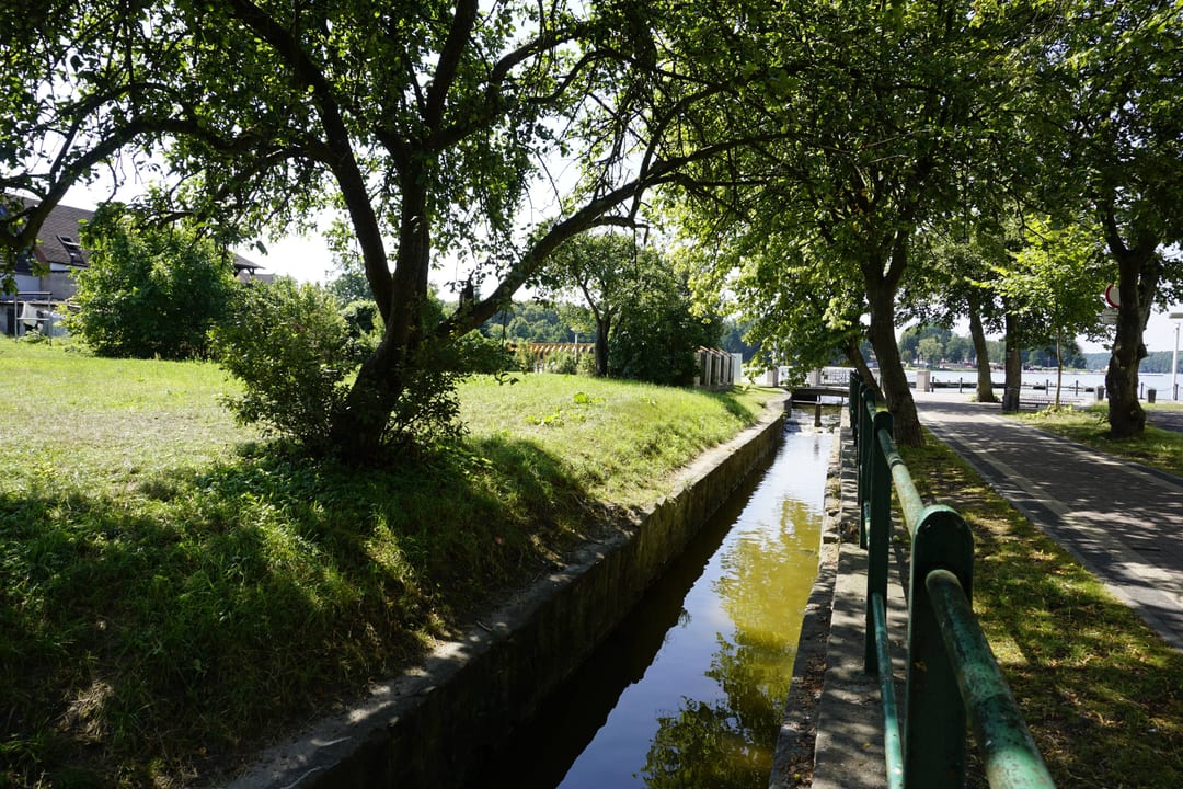 Żydówka