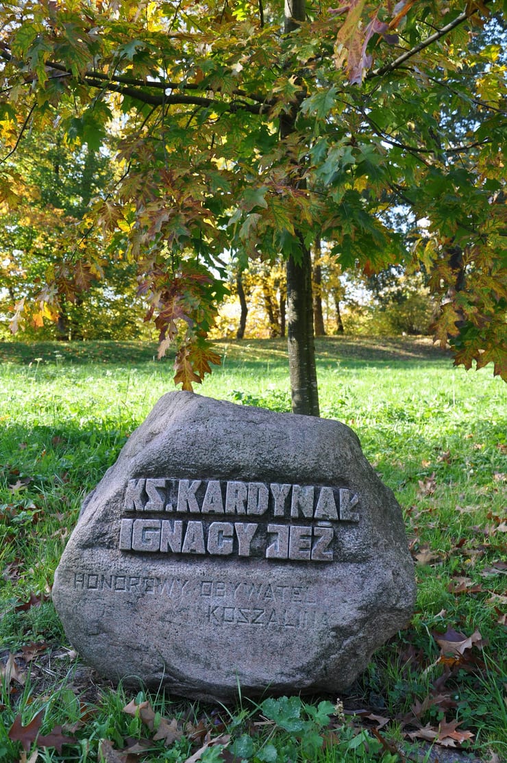 Głaz upamiętniający Ks. Kardynała Ignacego Jeża