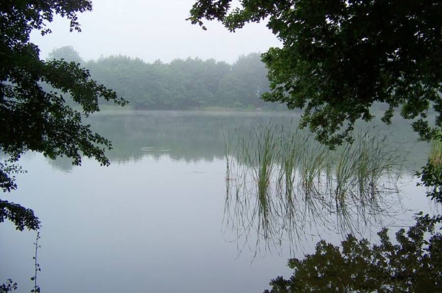 Jezioro Wilczkowo gm. Brzeżno