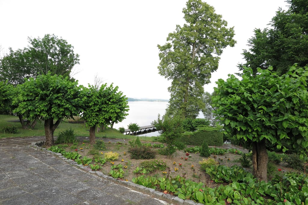 Park pałacowy