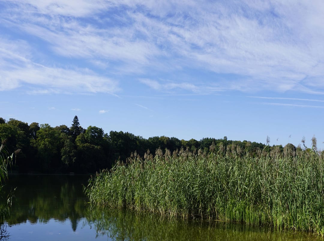 Jezioro Sadowskie