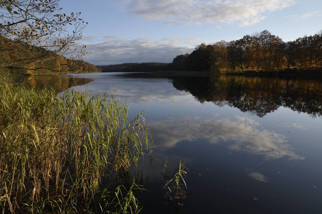 Jezioro Trzebuń