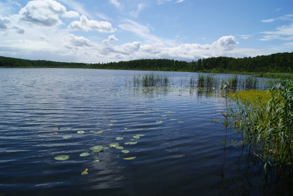 Jezioro Łabuń