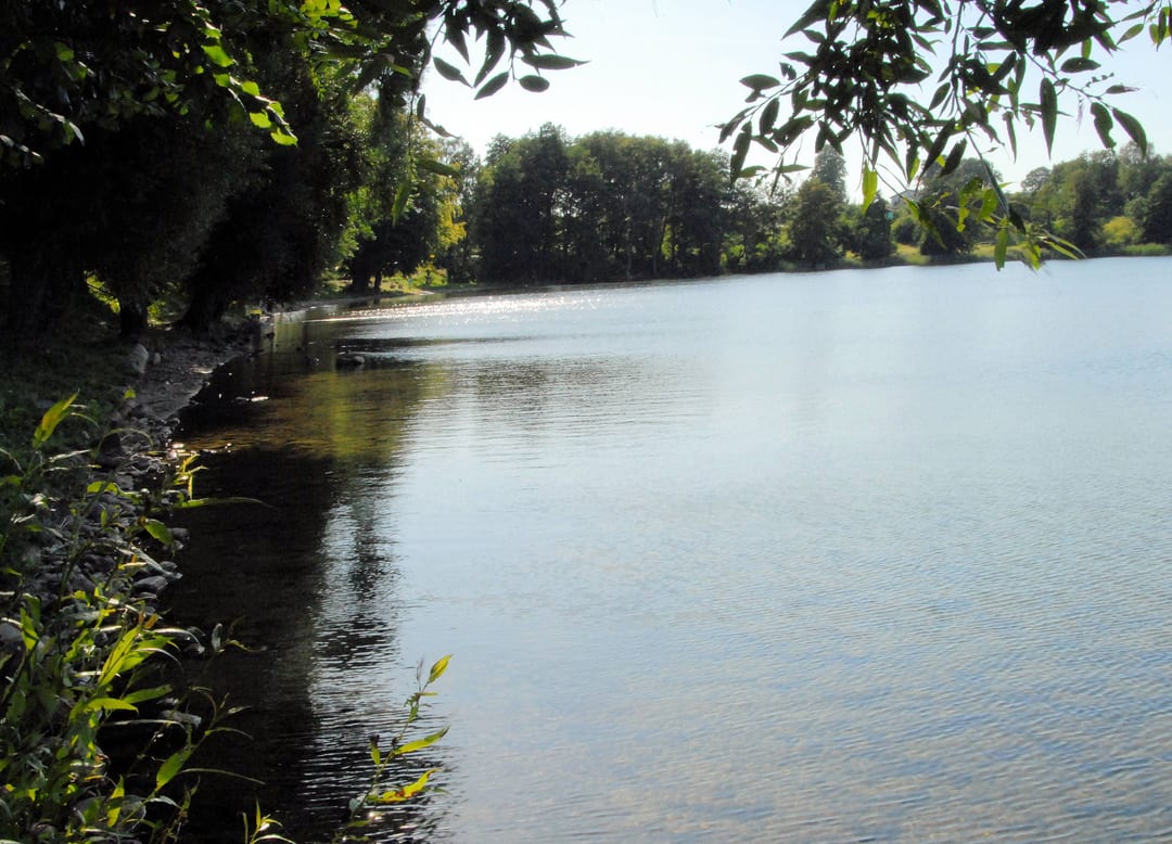 Jezioro Dębno
