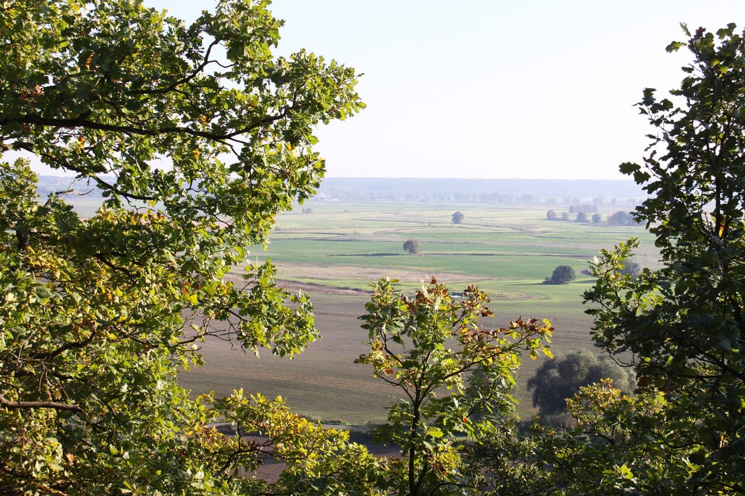 Cedyński Park Krajobrazowy