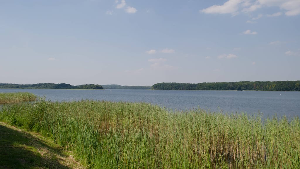 Iński Park Krajobrazowy