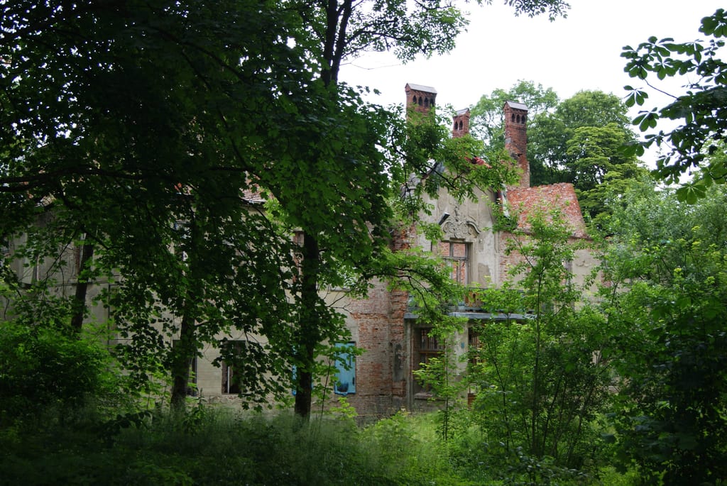 Pałac i park pałacowy