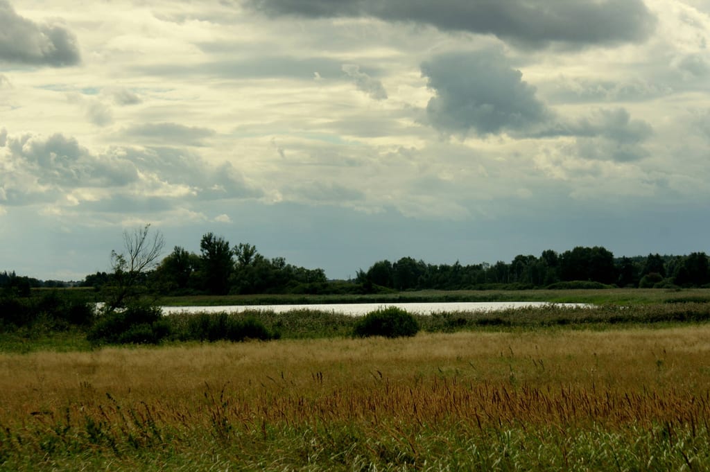 Jezioro Łubie (Głazowskie)