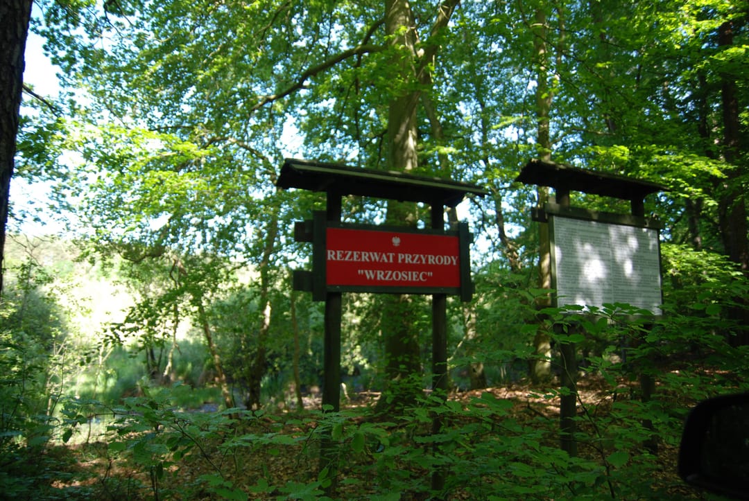 Wrzosiec