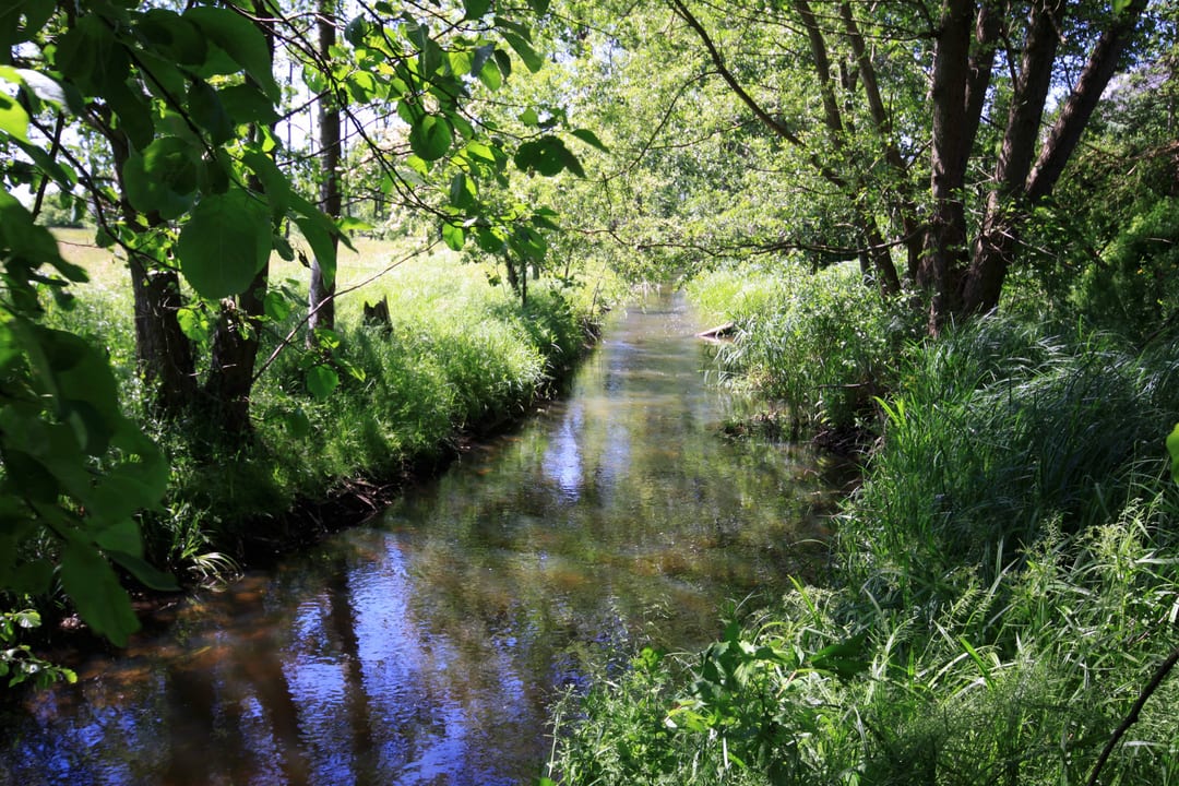 Rzeka Gunica