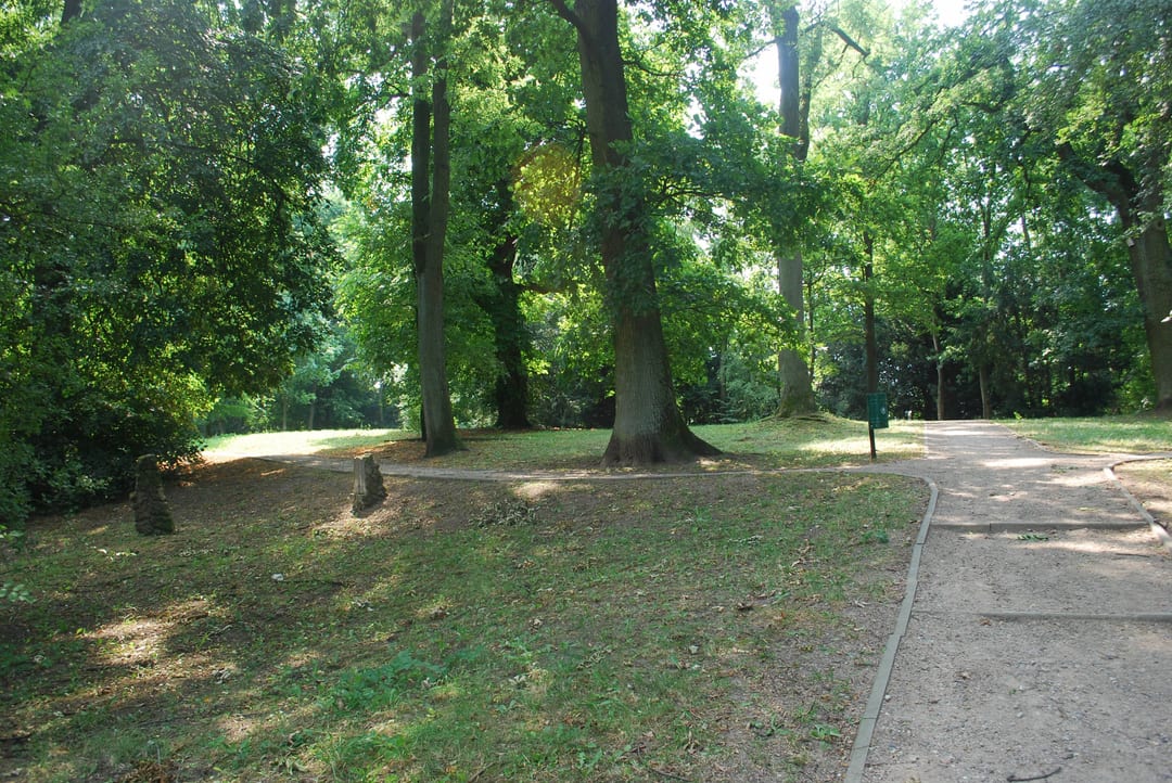 Park  przy ul. Wapiennej