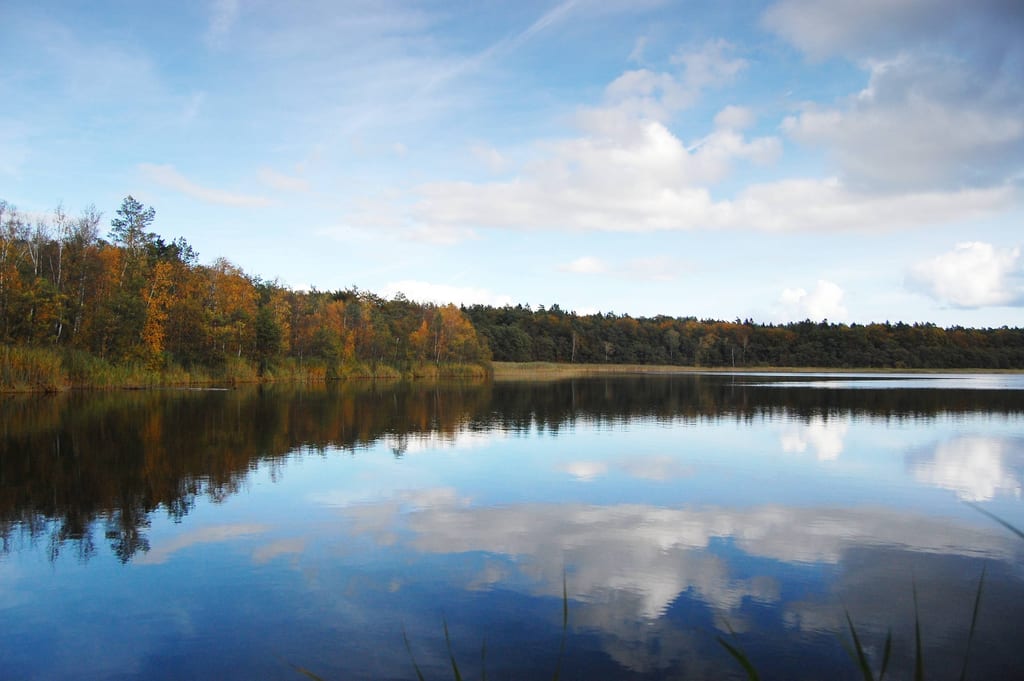 Jezioro Piaski