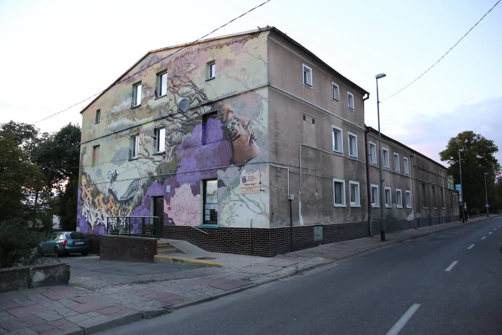 Kino Gryf