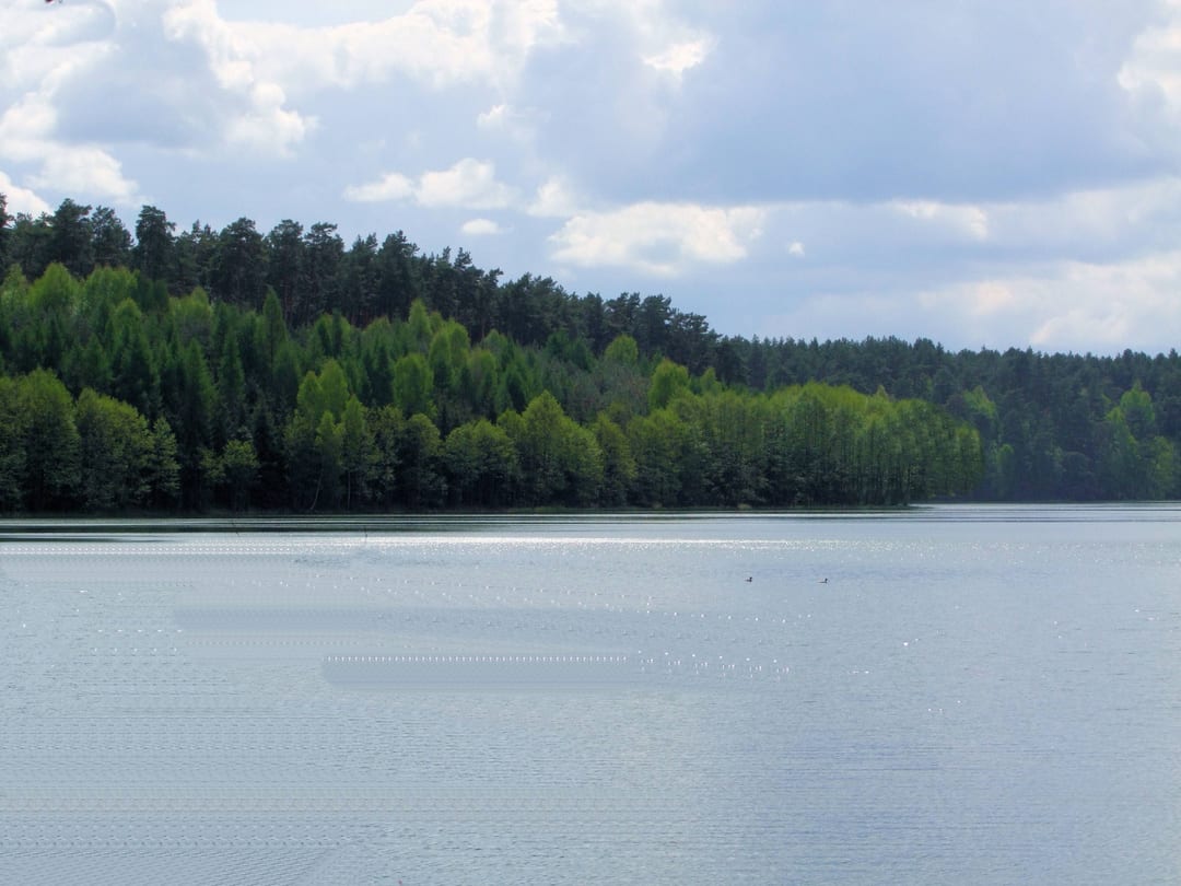 Jezioro Dłusko