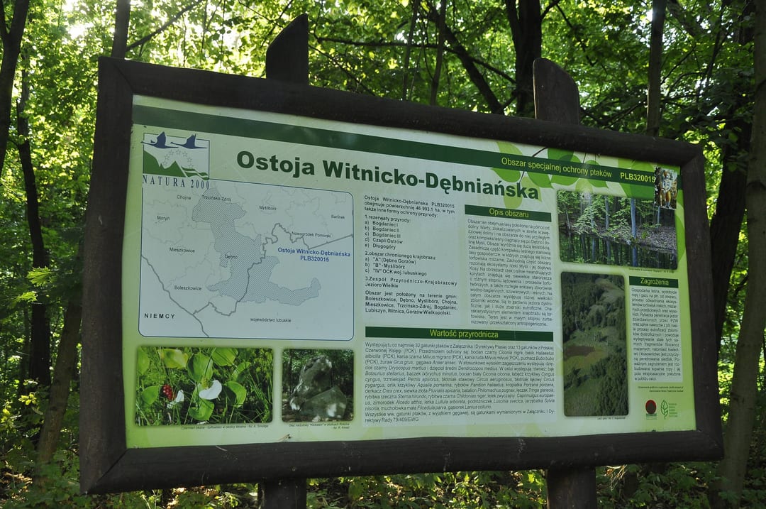 Ostoja Witnicko-Dębniańska