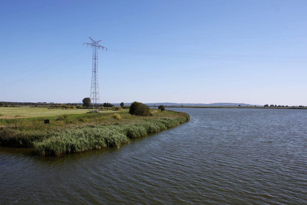 Delta Świny