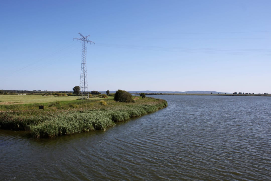 Delta Świny
