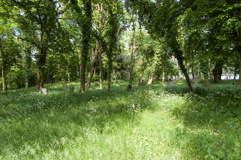 Głaz i tablica pamiątkowa na cmentarzu poniemieckim