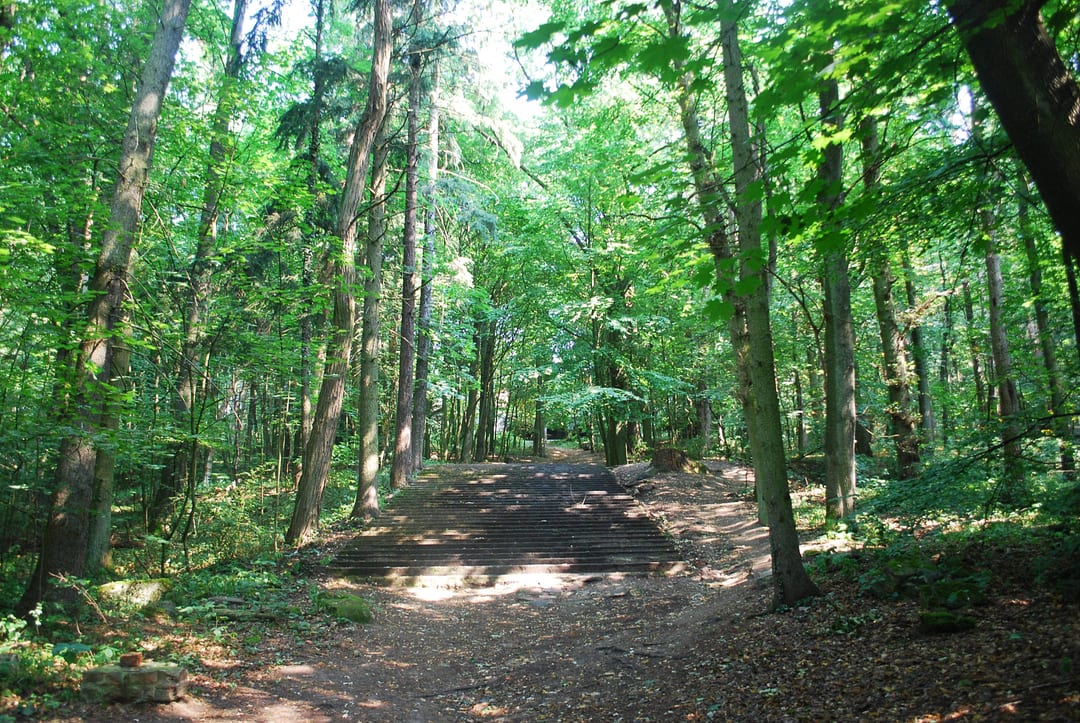 Wzgórze Arkony - Park Leśny Arkoński w Szczecinie