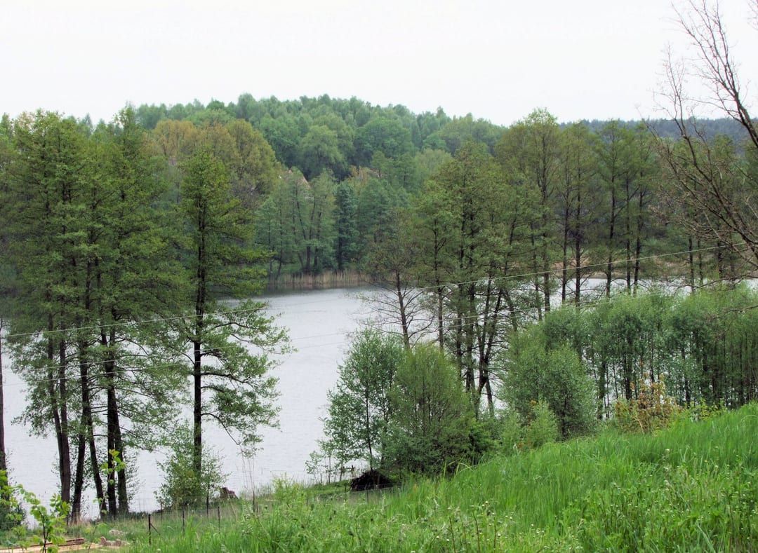 Jezioro Miejskie