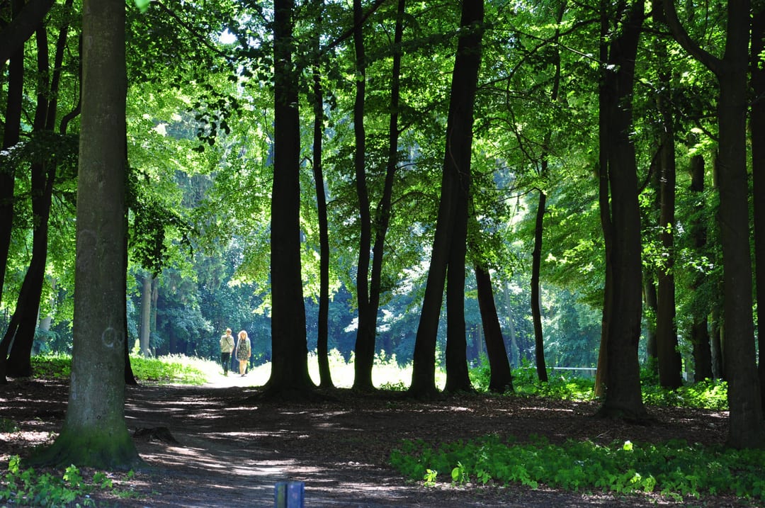 Park miejski