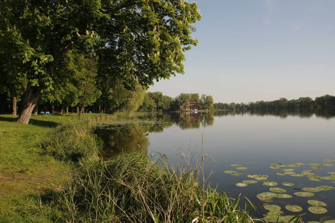 Jezioro Miejskie