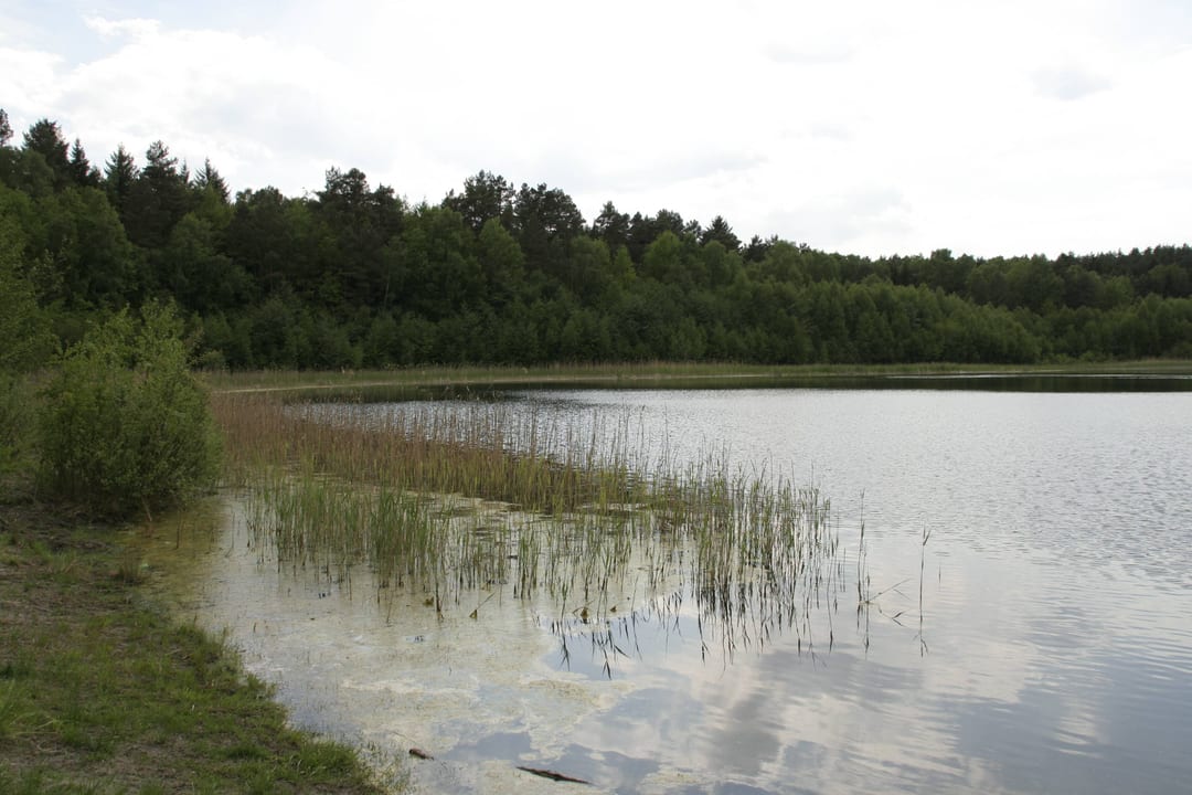 Rezerwat przyrody Jeziora Siegniewskie