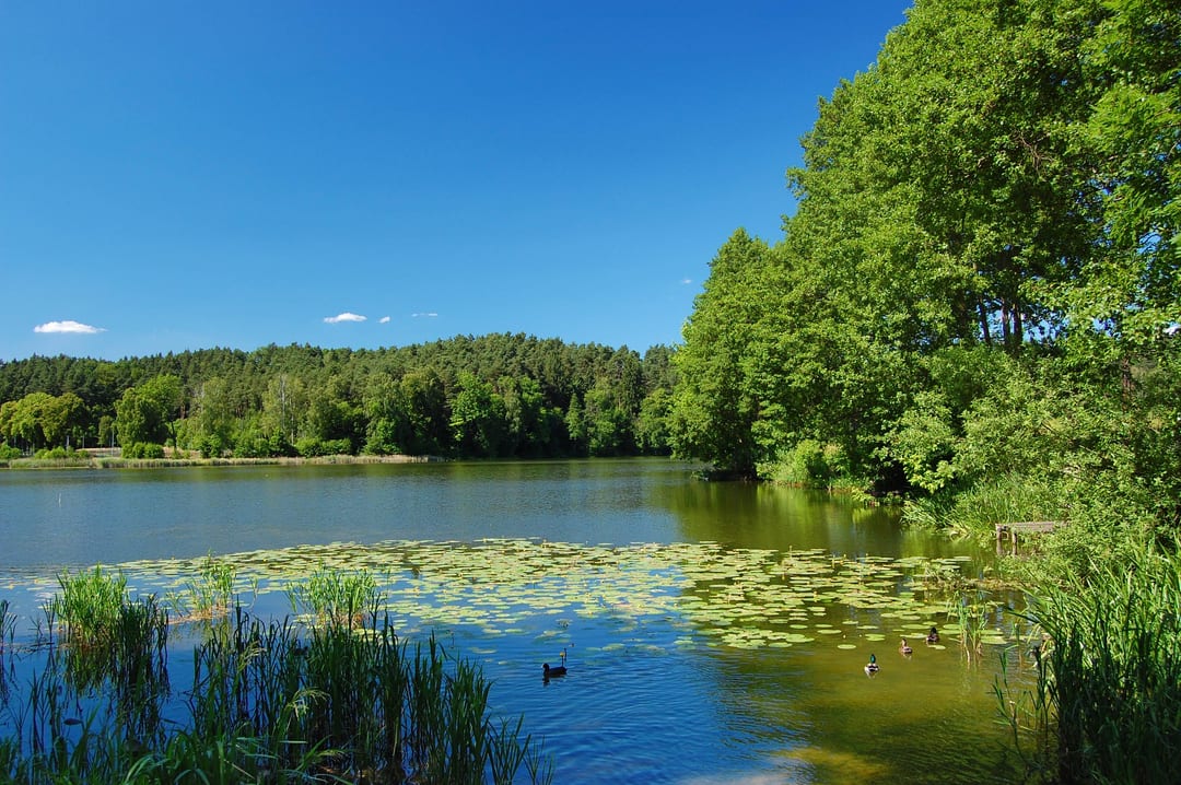 Jezioro Młyńskie