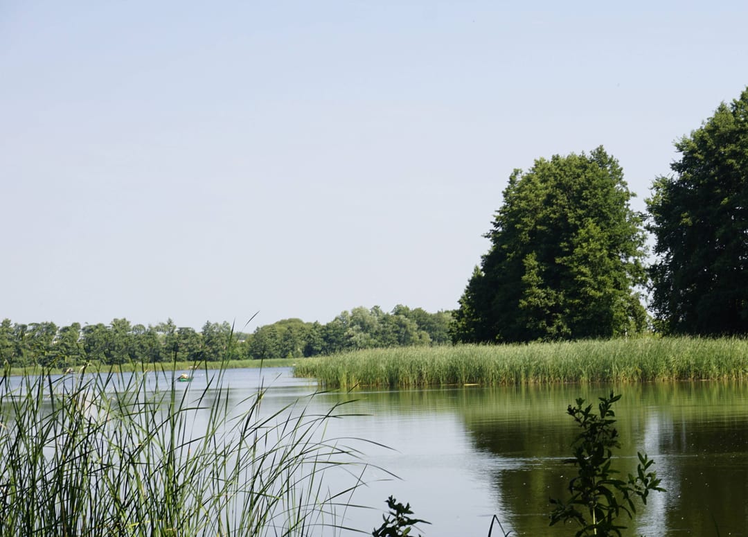 Młyński Staw