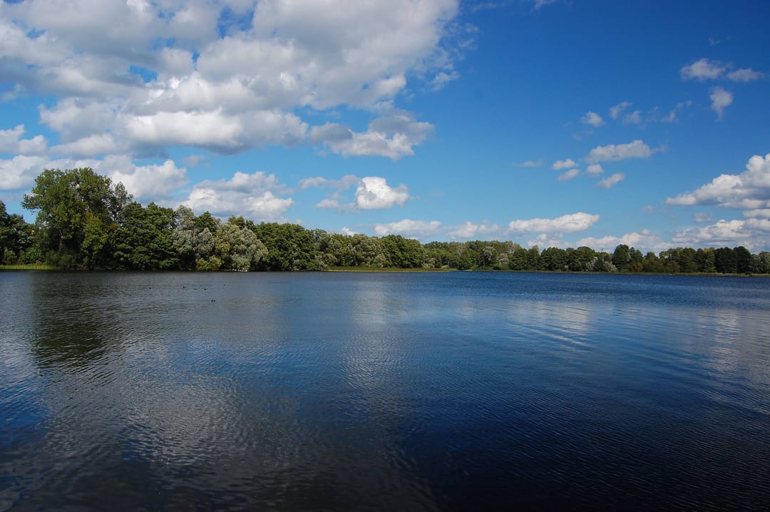 Jezioro Czaplino