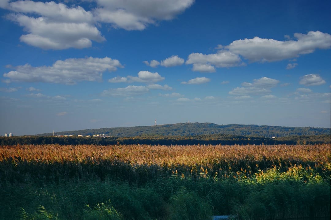 Góra Chełmska