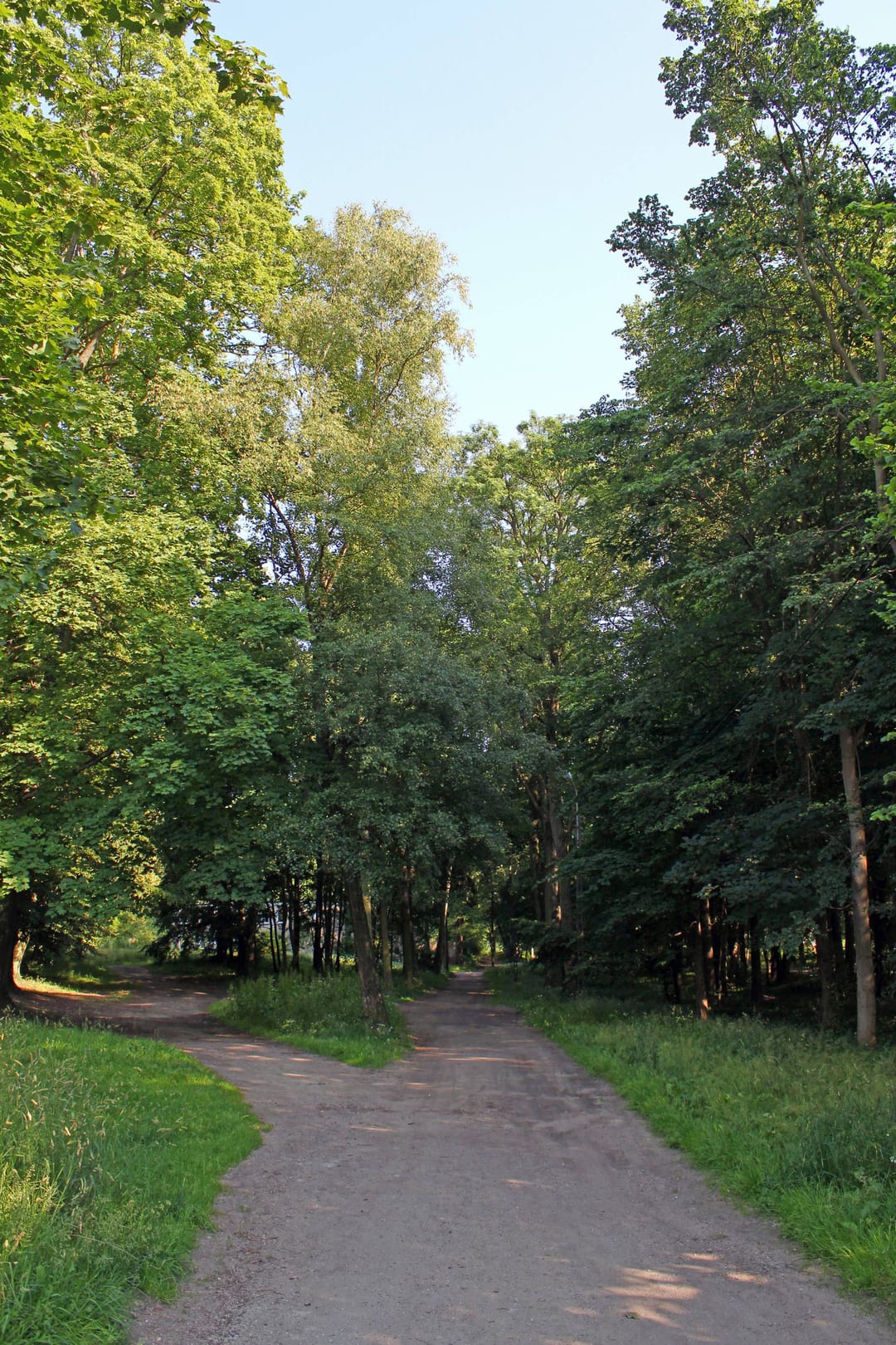 Park miejski w Świdwinie