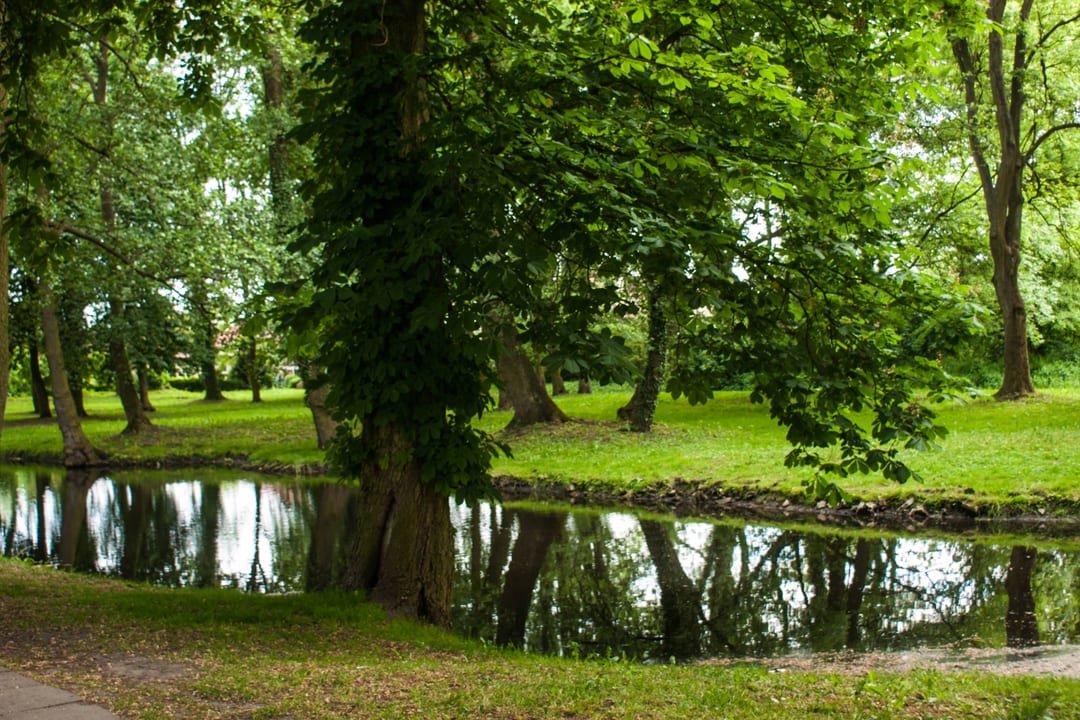 Park miejski