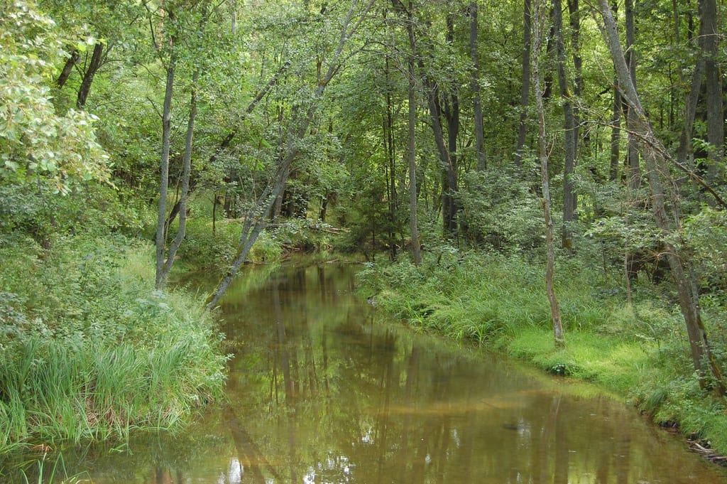 Drawica (Mąkowarka)