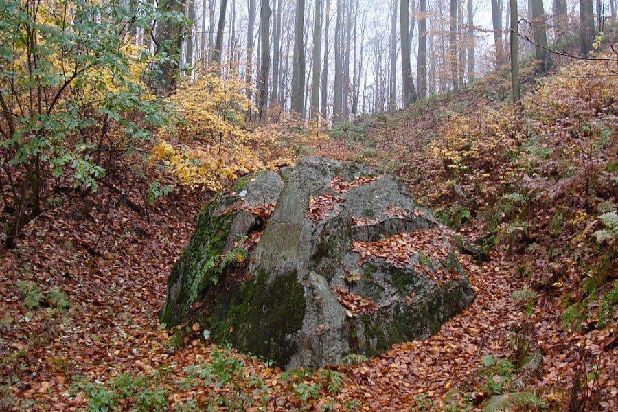 Głaz Krajoznawców w Puszczy Bukowej, Kołowo gm. Stare Czarnowo