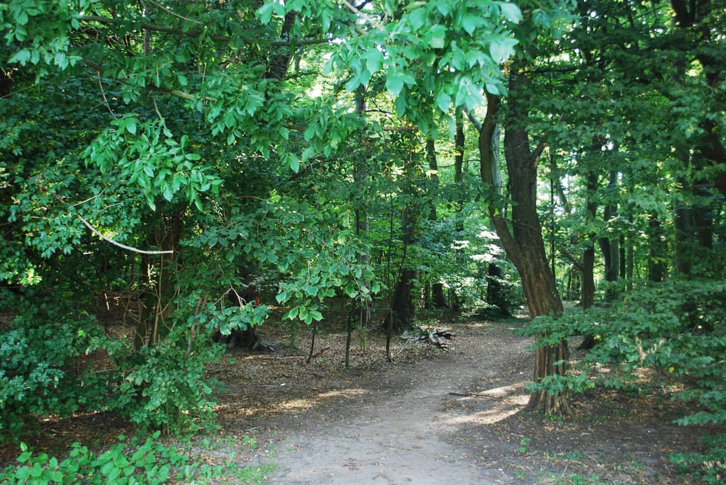 Park im. A. Fredry