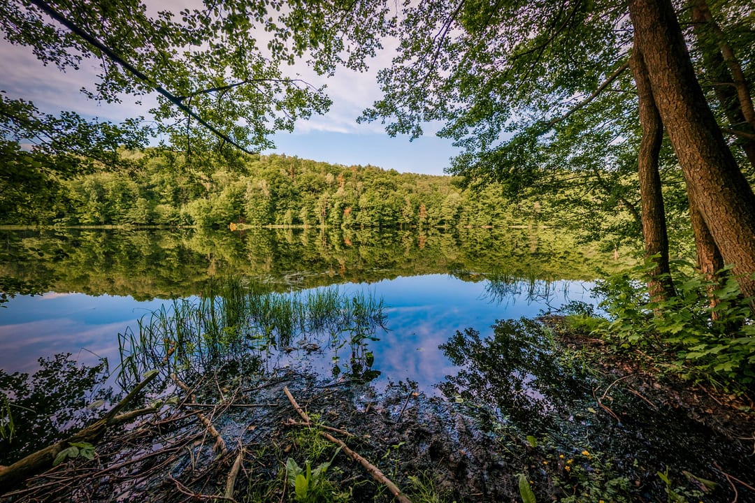 Drawski Park Krajobrazowy