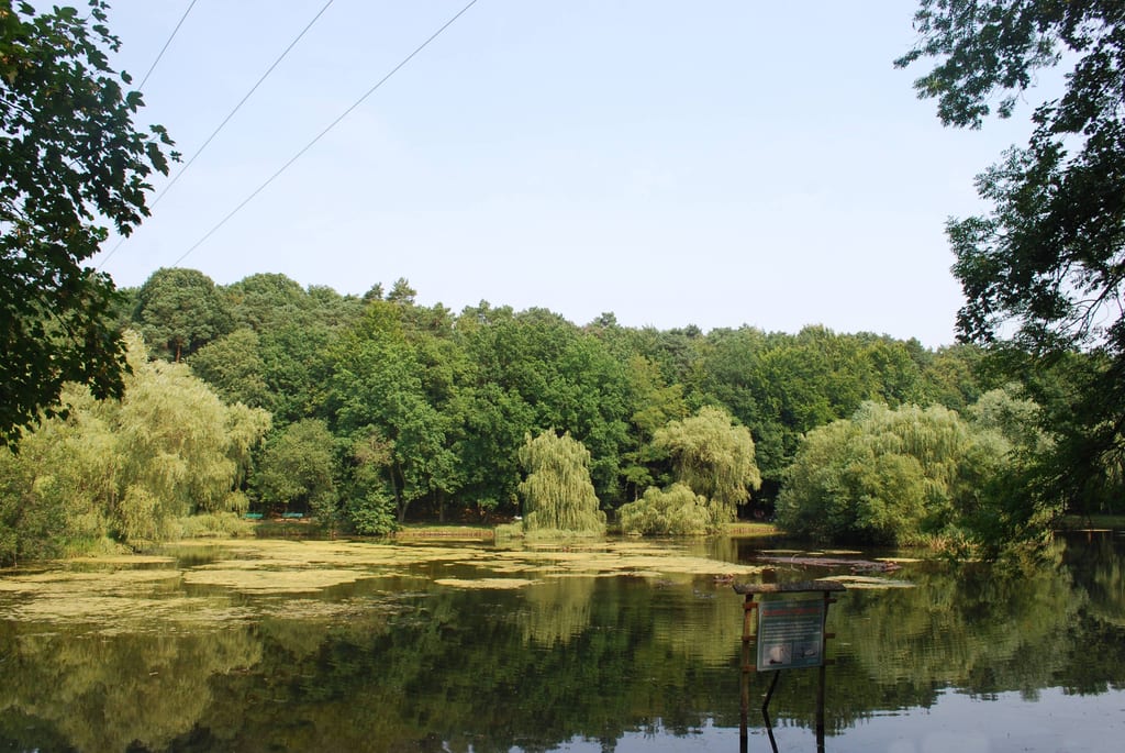 Staw Wędkarski